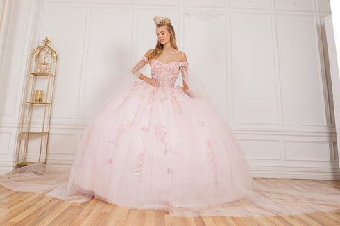 Floral Appliqués Off Shoulder Ball Gown for Women, Sizes 4/XS-16/3X